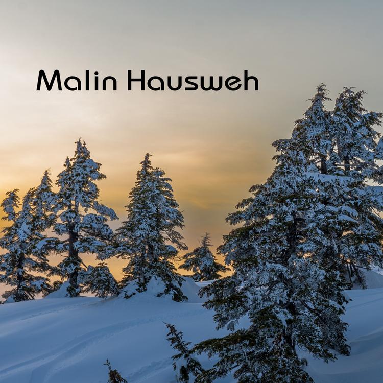 Malin Hausweh's avatar image