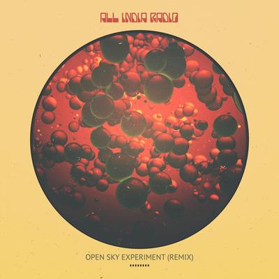 Open Sky Experiment (Remix)'s cover