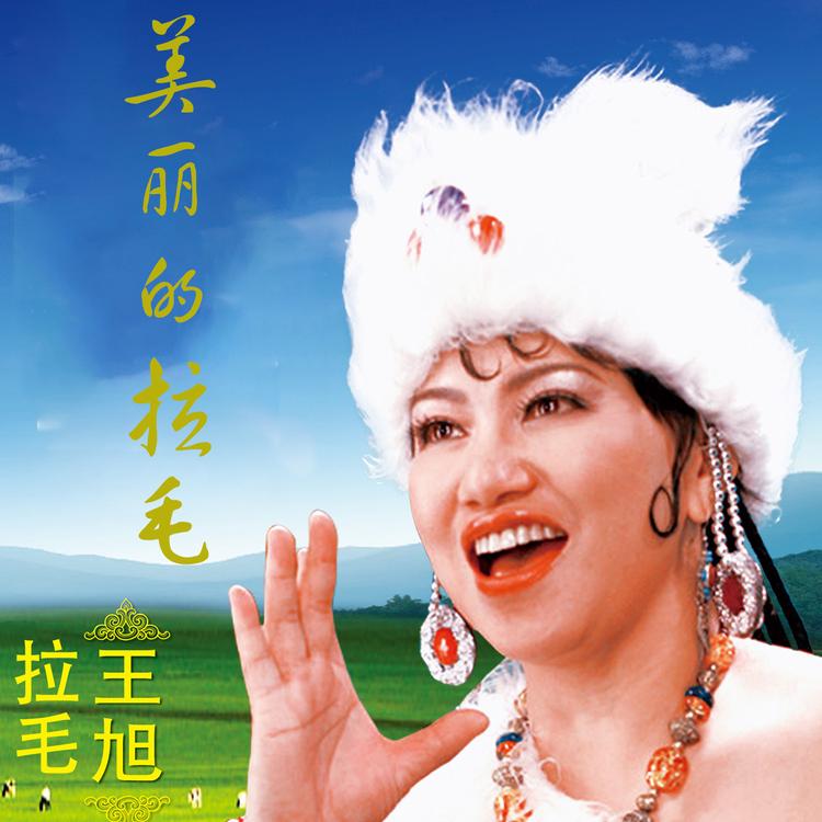 拉毛王旭's avatar image