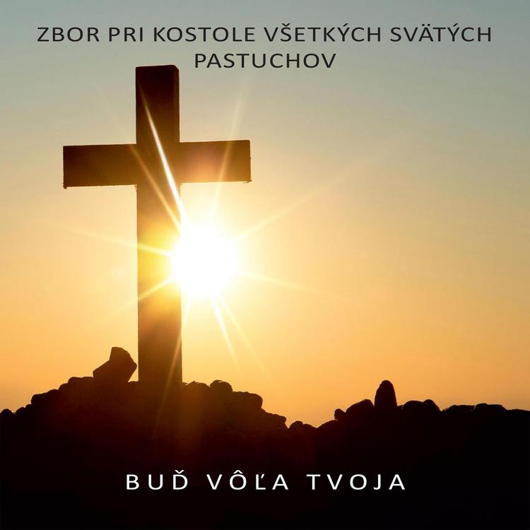 Zbor pri kostole Všetkých Svätých Pastuchov's avatar image