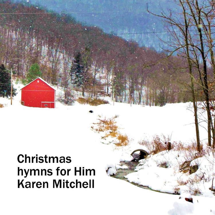 Karen Mitchell's avatar image