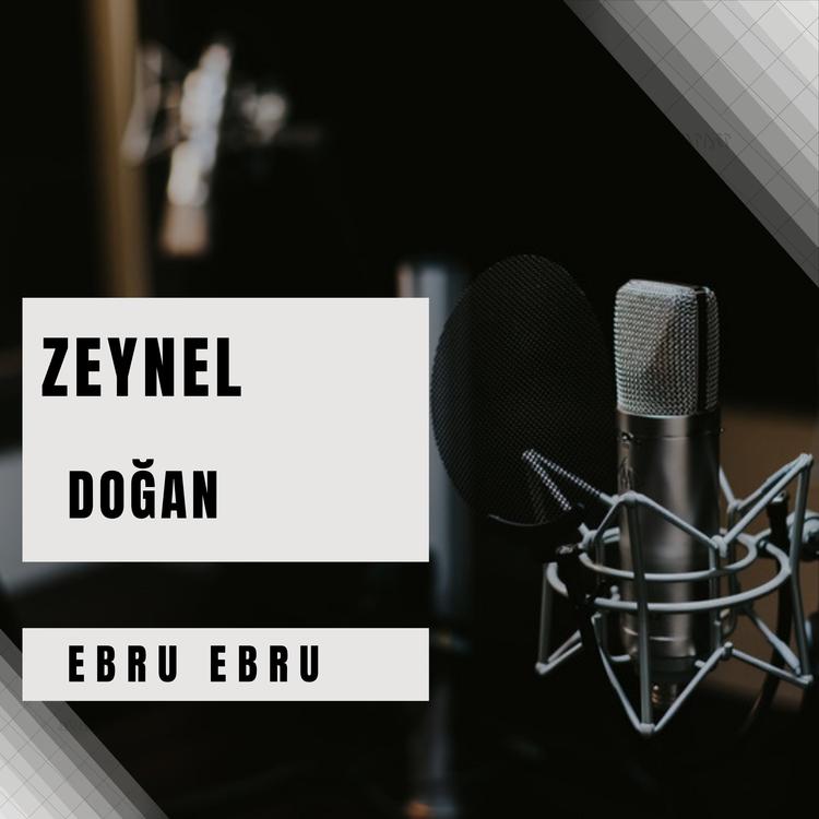 Zeynel Doğan's avatar image