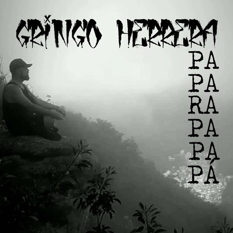 Gringo Herrera's avatar image