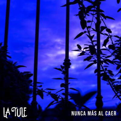 Nunca Más Al Caer's cover