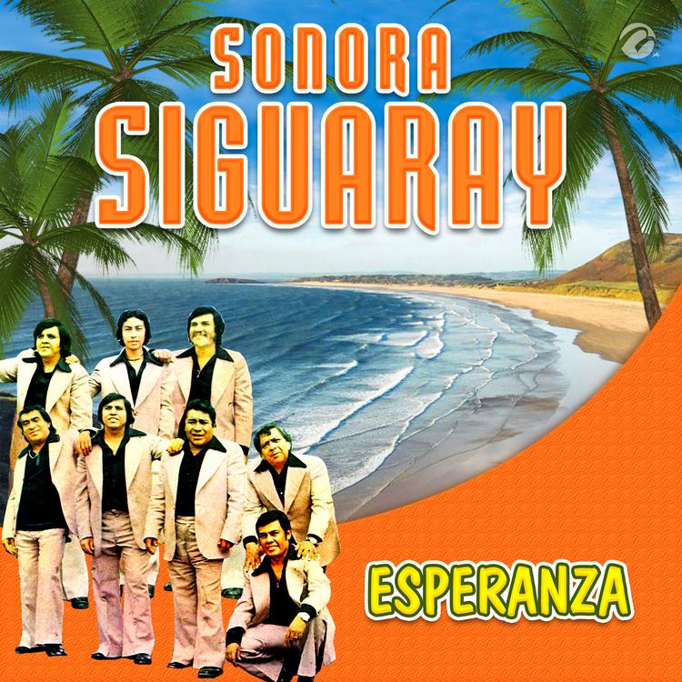 Sonora Siguaray's avatar image