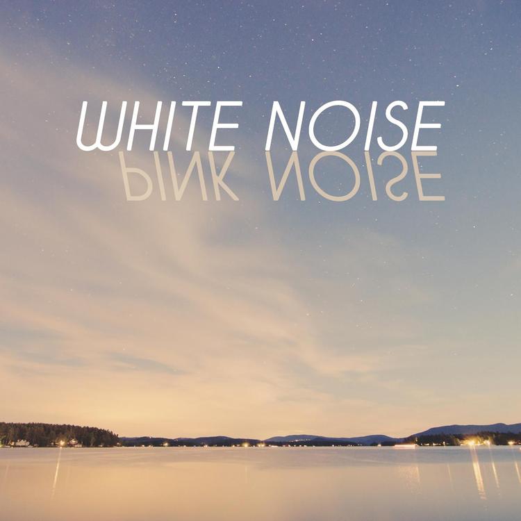 White Noise Pink Noise's avatar image