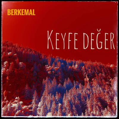 Berkemal's cover