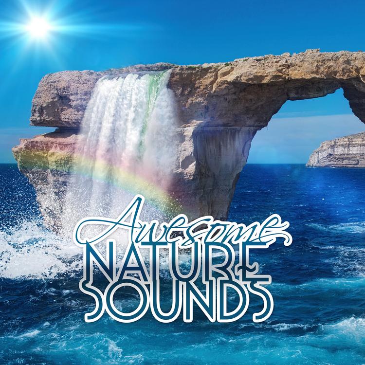 Awesome Nature Sounds Ensemble's avatar image