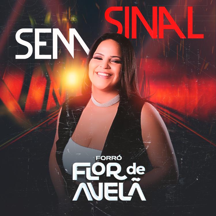 Forró Flor de Avelã's avatar image