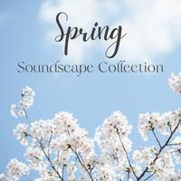 Springtime Chris's avatar cover