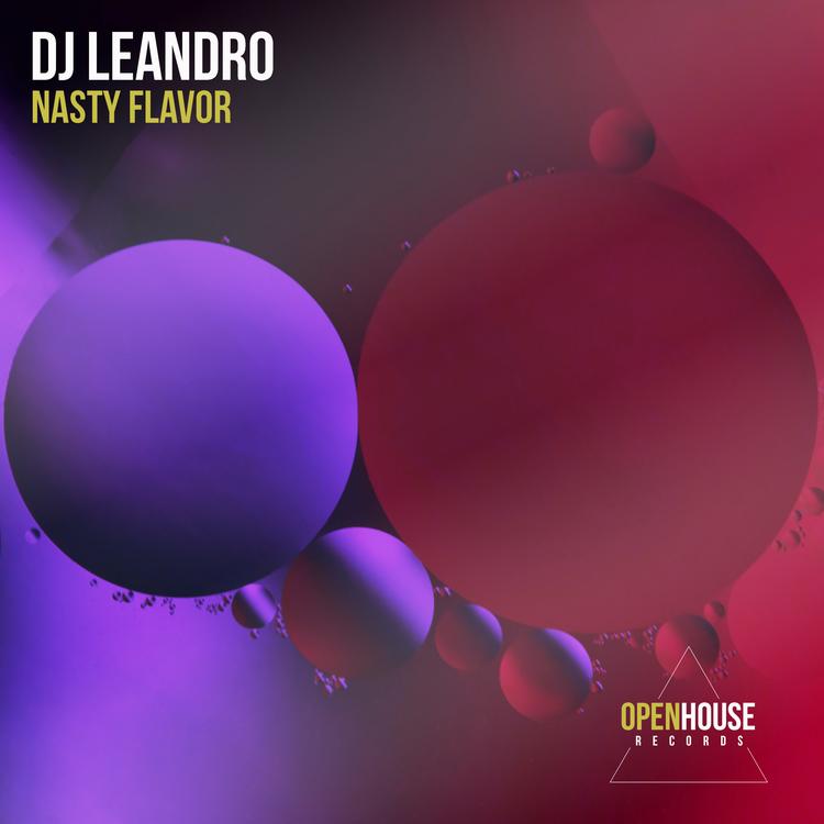 Dj Leandro's avatar image