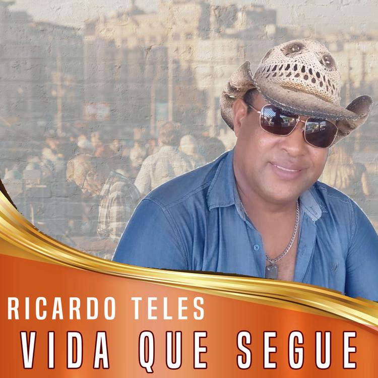 Ricardo Teles's avatar image