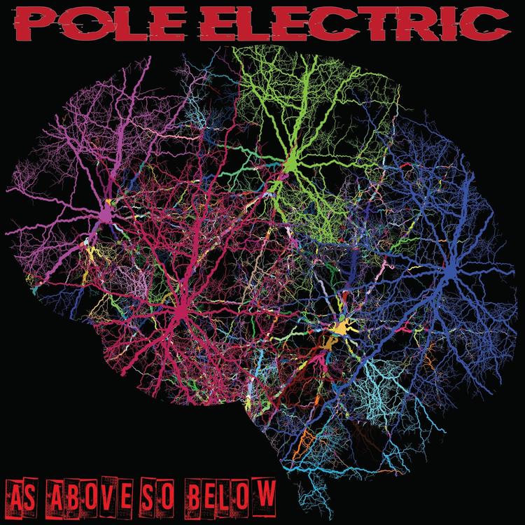 Pole Electric's avatar image