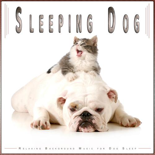 Relaxing music store for dogs sleep