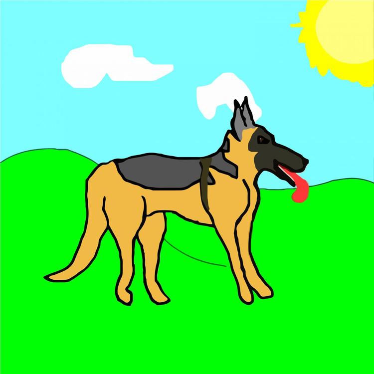 Der Hund der kackt's avatar image