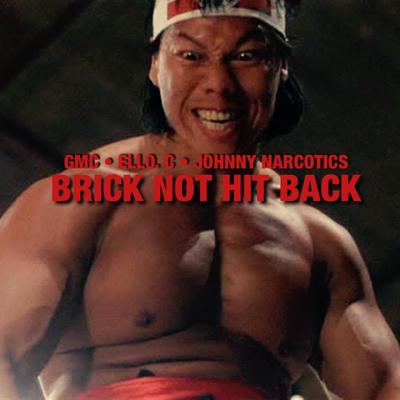 BRICK NOT HIT BACK's cover