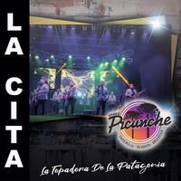 Grupo Picunche's avatar cover