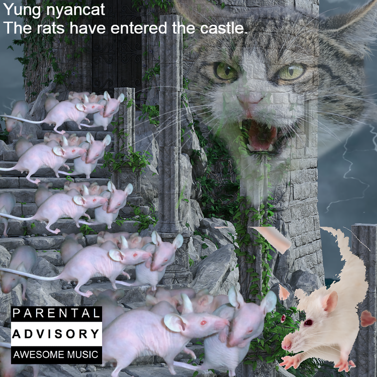 Yung Nyancat's avatar image