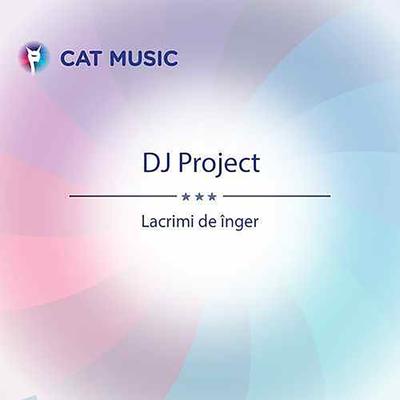 Lacrimi de inger By DJ Project's cover