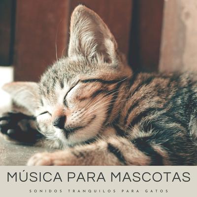 Música De Gatos By Musica para Gatos, Mascotas tranquilas, Sueño Encantado's cover