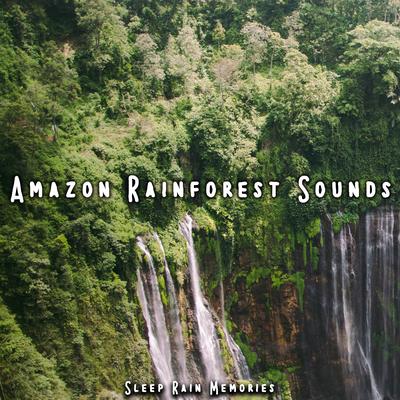 Rain Sound Tropical Forest By Sleep Rain Memories's cover