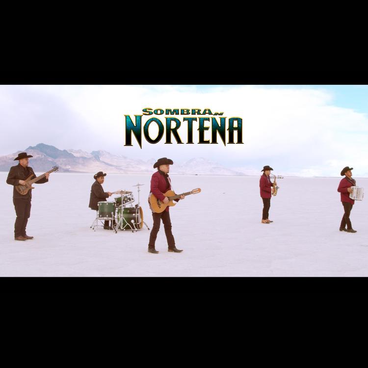 Sombra Norteña's avatar image