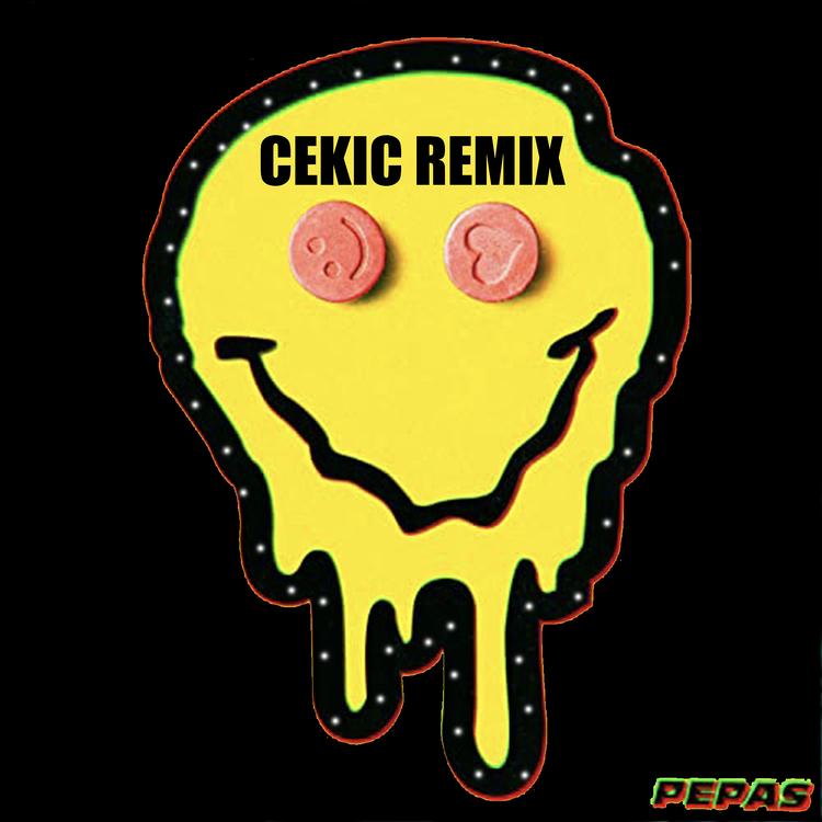 Cekic's avatar image