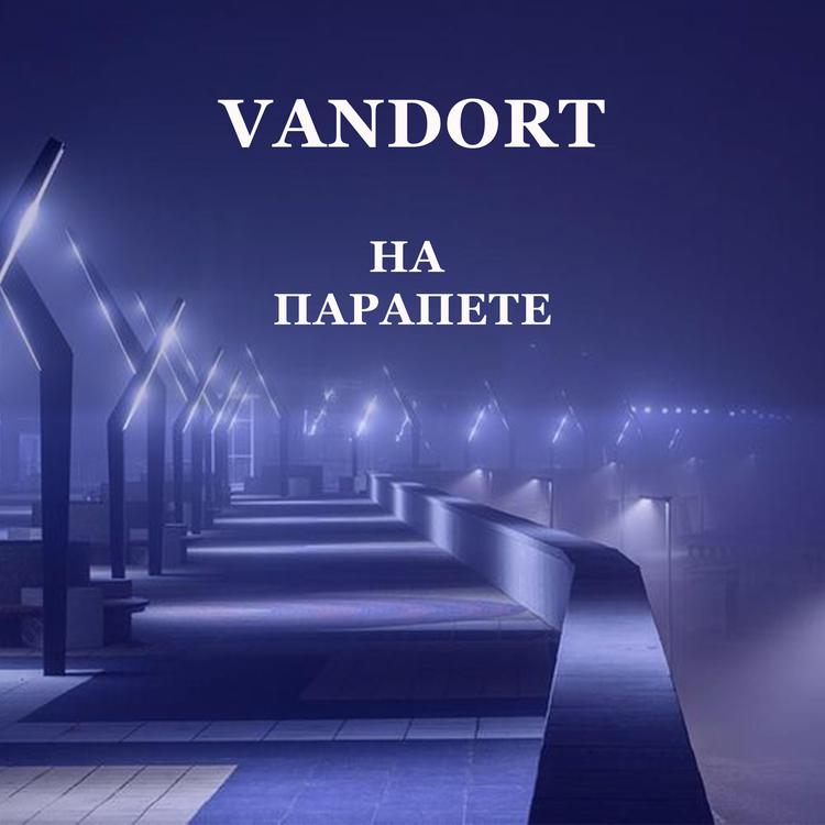 VANDORT's avatar image