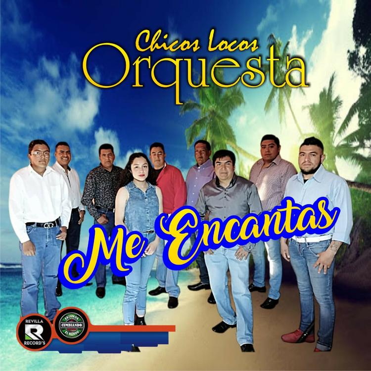 Chicos Locos Orquesta's avatar image