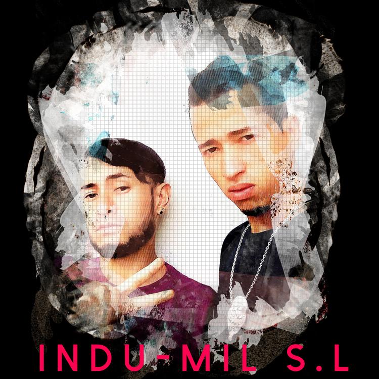 Indu-Mil S.L's avatar image