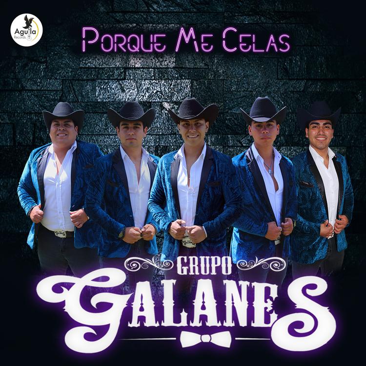 GRUPO GALANES's avatar image