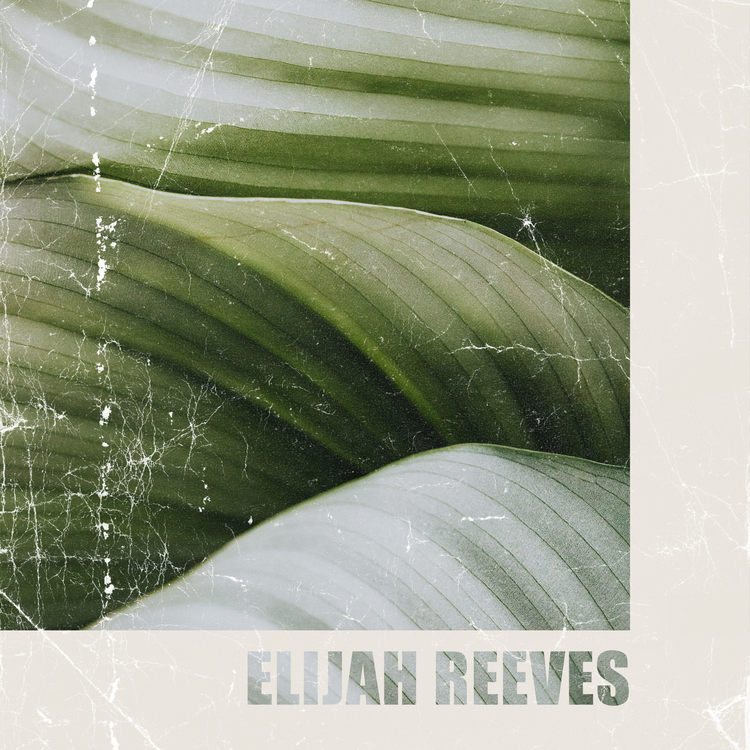 Elijah Reeves's avatar image