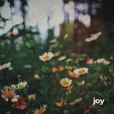 Joy By Morninglightmusic's cover