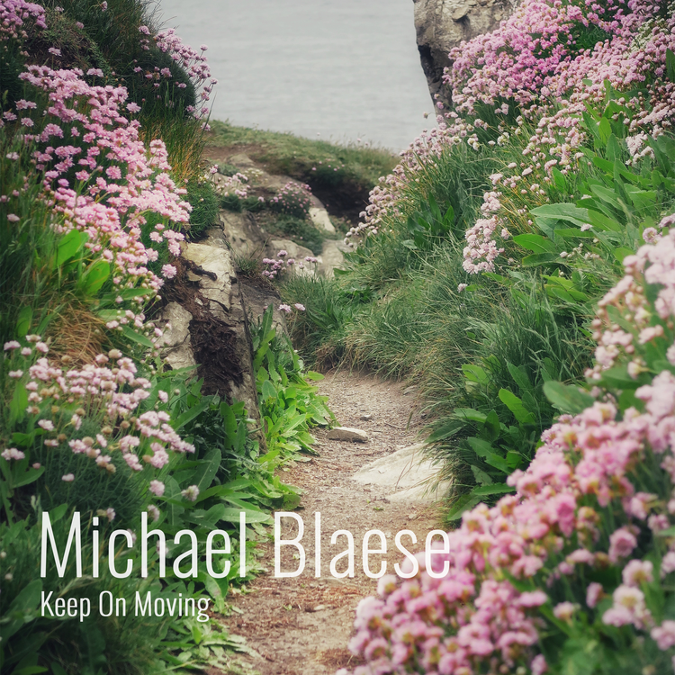 Michael Blaese's avatar image