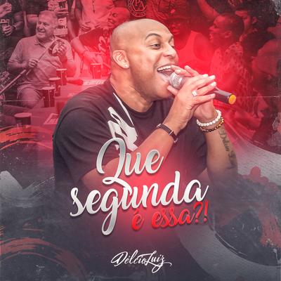 Que Segunda É Essa?! (Ao Vivo) By Delcio Luiz, Wallace Jr.'s cover