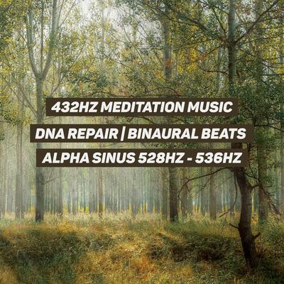 DNA Repair III - Alpha Sinus 528Hz - 536Hz's cover