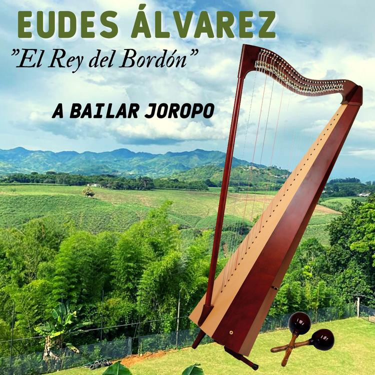 Eudes Álvarez El Rey del Bordón's avatar image