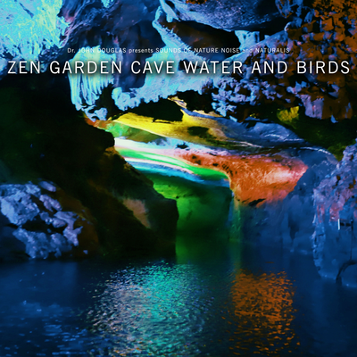 Zen Garden Cave Water and Birds's cover