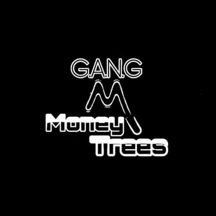Money trees gang's avatar image