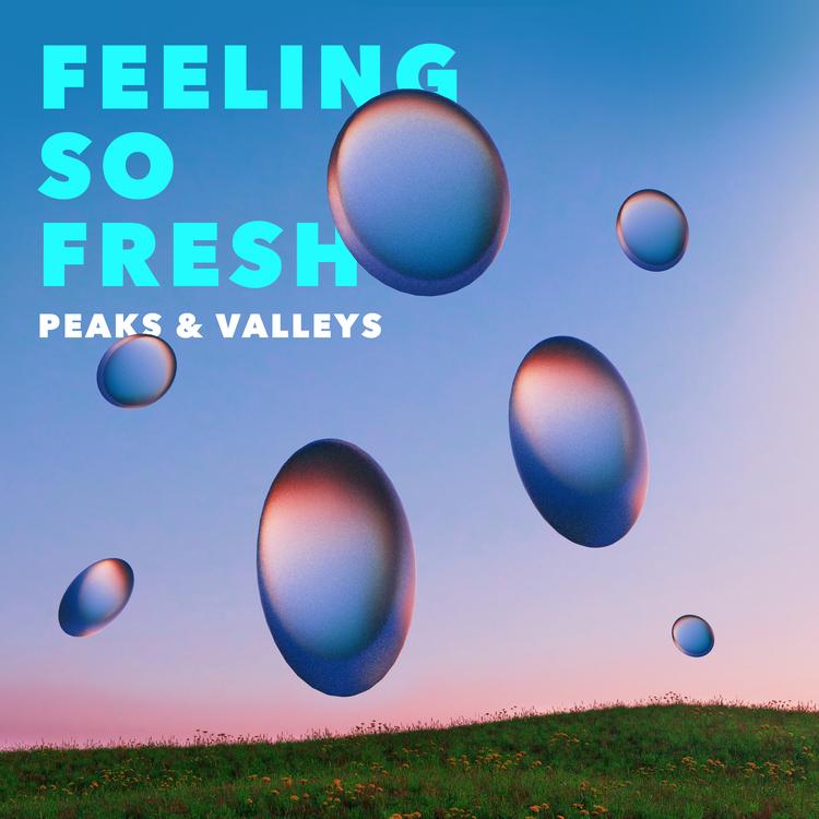 Peaks & Valleys's avatar image