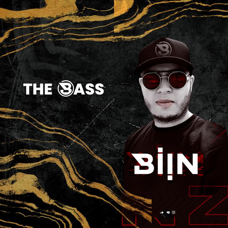 DJ BIIN's avatar image