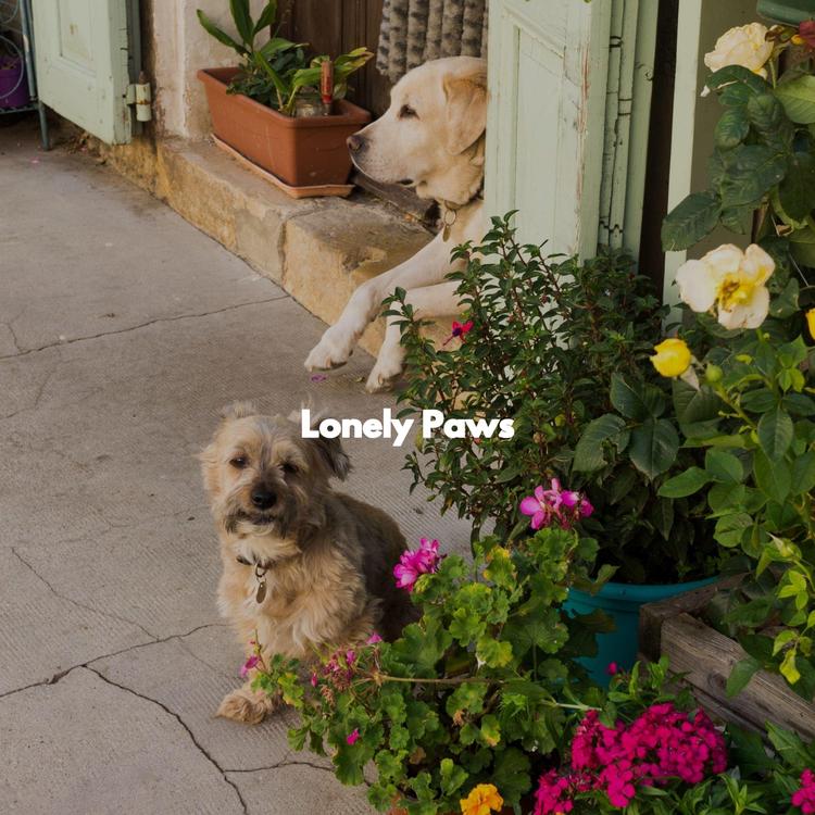 Relaxing Dog Music Classics's avatar image
