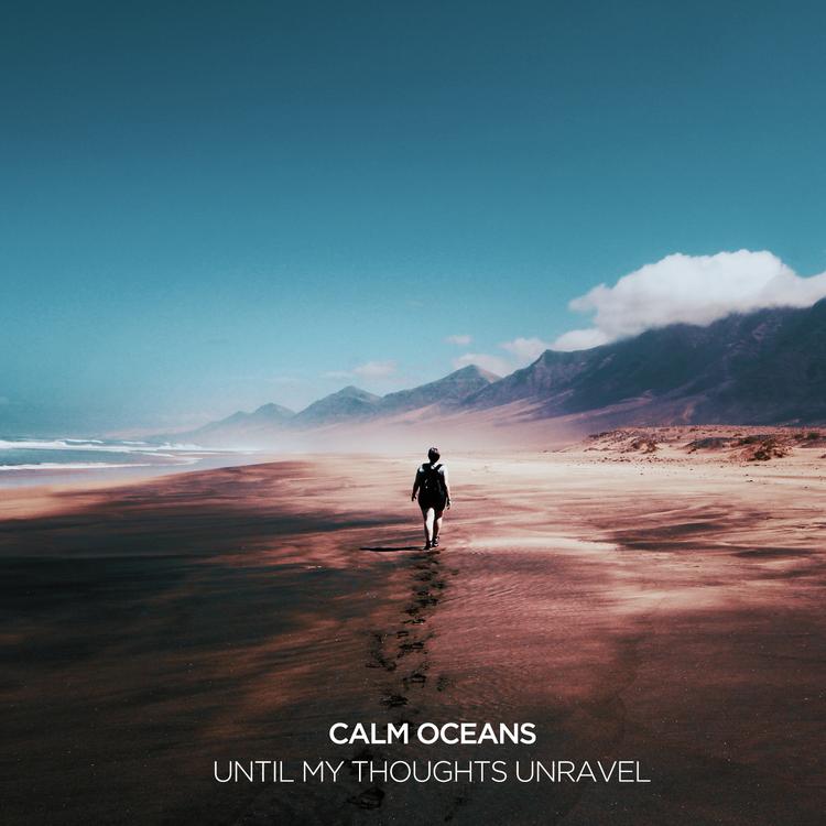 Calm Oceans's avatar image