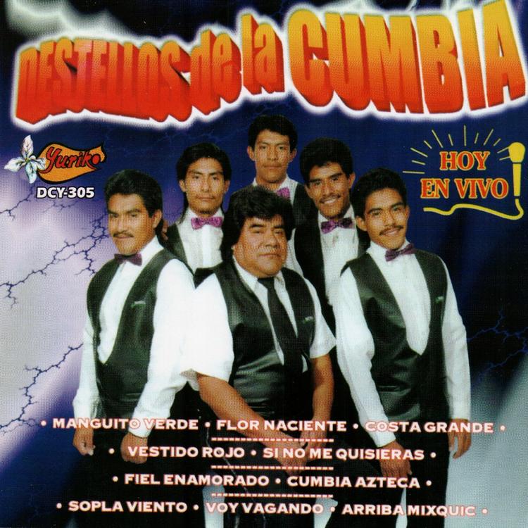 Destellos De La Cumbia's avatar image