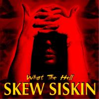 Skew Siskin's avatar cover