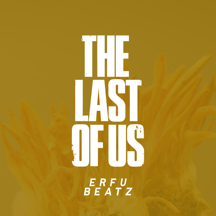 Erfu Beatz's avatar image