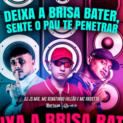 Deixa a Brisa Bater, Sente o Pau Te Penetrar's cover