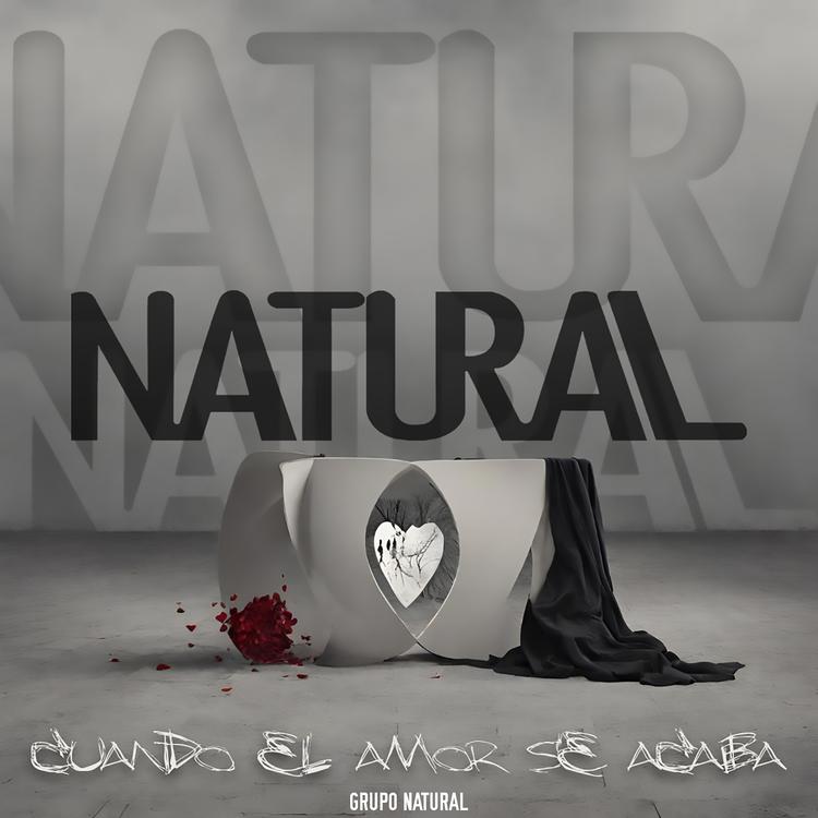 Grupo Natural's avatar image