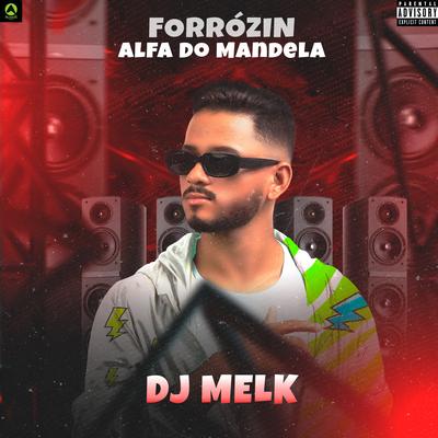 Forrózin Alfa do Mandela By djmelk's cover