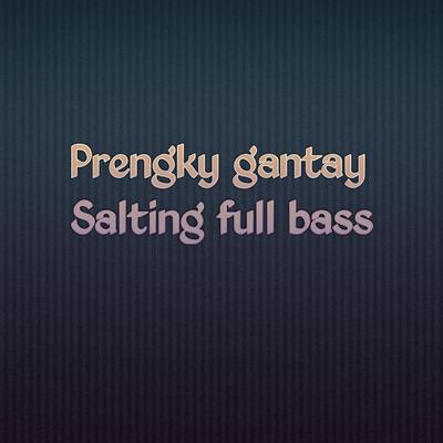 Salting full bass (Remix)'s cover